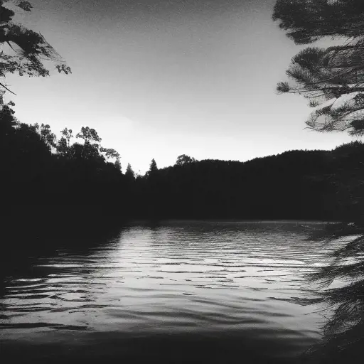 A Silhouette of a lakefront with a cabin and lots of forests.  It should be in greyscale and there is a canoe on the water.  The bottom of the image should have a shoreline., Doodle, Minimalism, Sketch