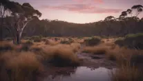 A stunning photo of a natural Australian bush landscape at dusk, 4k, 8k, Highly Detailed